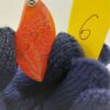 Agate Orange 6