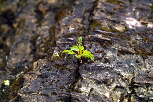 Comment-est-ta-peine_41