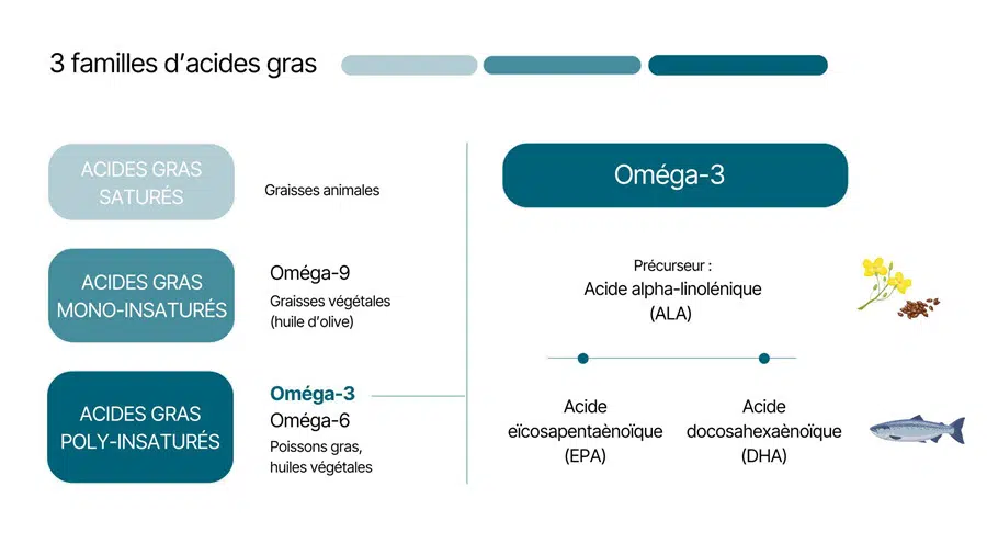 Les Omégas 3, 6 et 9, c'est quoi? 3