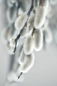 Le nettoyage de printemps 1