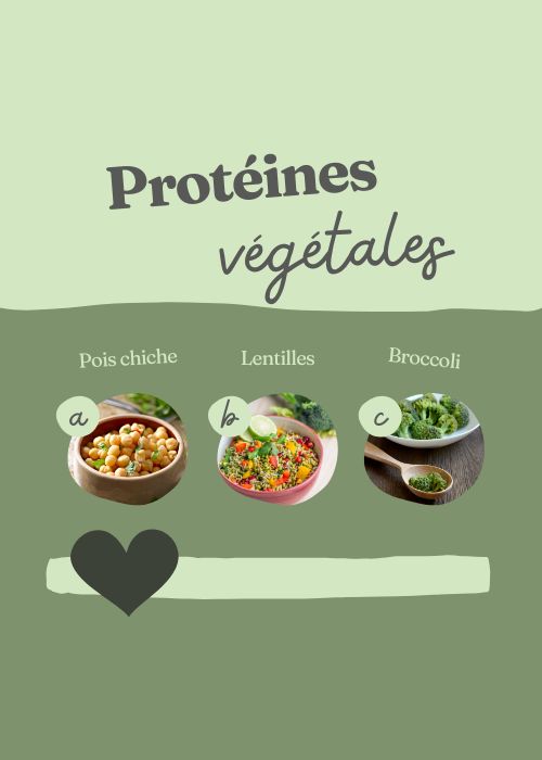 Les meilleures sources de protéines végétales 2