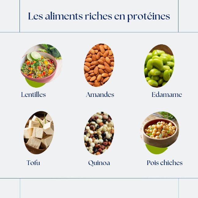 Les meilleures sources de protéines végétales 3