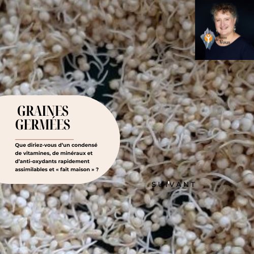 Graines germées de quinoa 8