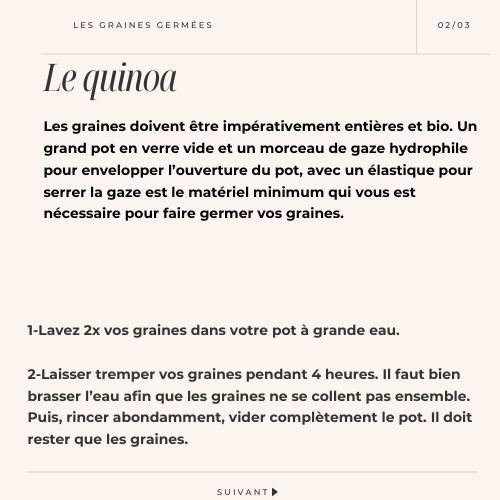 Graines germées de quinoa 10
