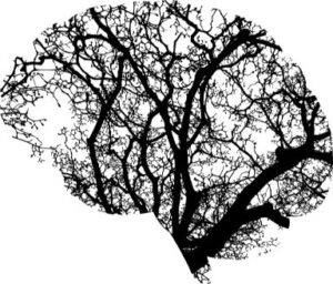 La mémoire de nos traumas 1