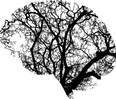 La mémoire de nos traumas 1