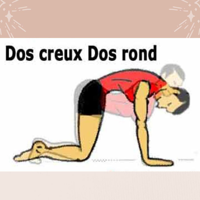 Dessin homme exercice dos creux et dos rond à genoux mains au sol