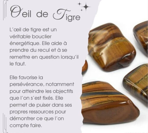 Petite œil de tigre — pierre pour le chakra du plexus solaire en lithothérapie à Lausanne avec Véronique Licini