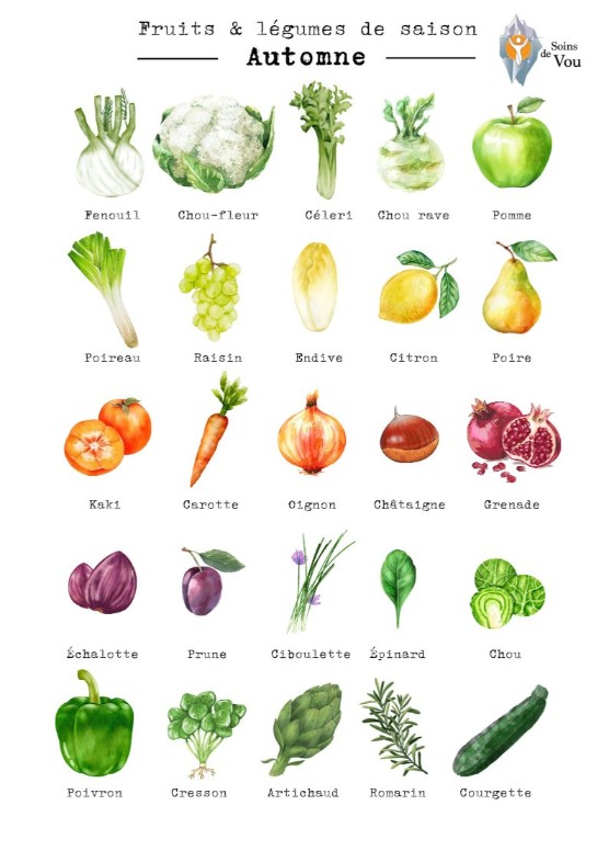 Fruits et légumes de saison en automne — riches en vitamines et minéraux selon la naturopathie