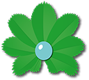 lalchemille