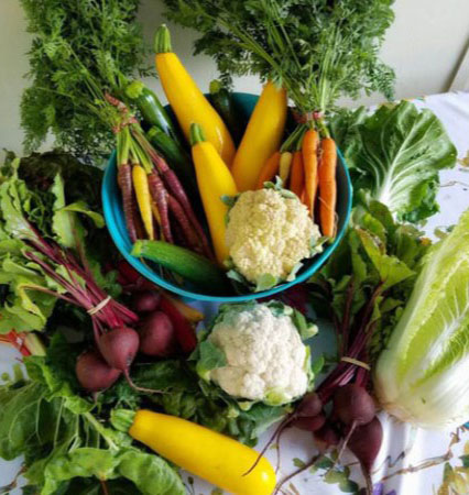 Légumes — aliment sain pour un bilan initial naturopathique à Lausanne avec Véronique Licini