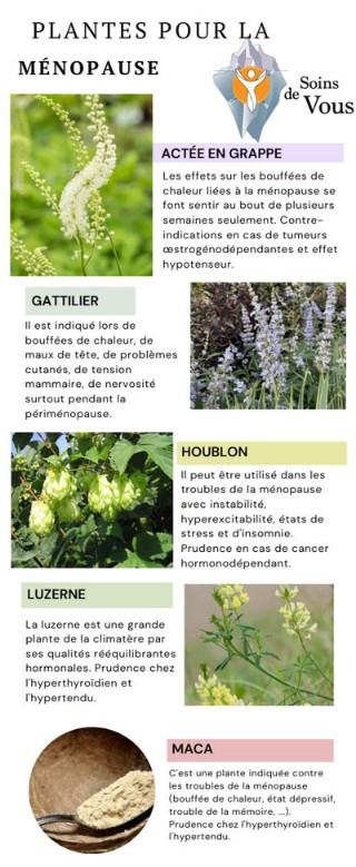 Illustration des plantes pour la ménopause