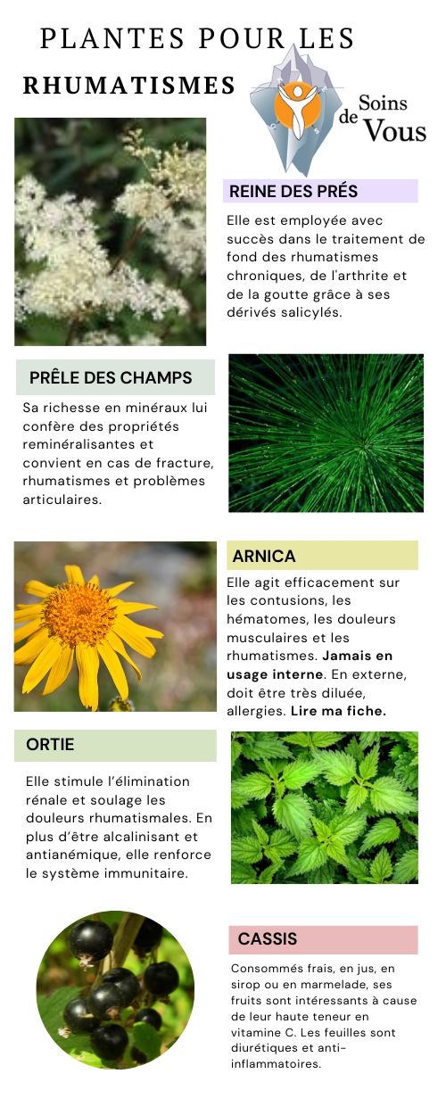 Plantes rhumatismes — reine des prés, prêle, arnica, orties et cassis — soutien lors d’inflammations.