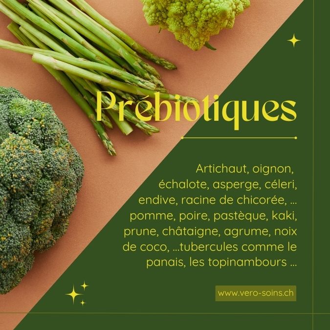 Prébiotiques pour nourrir la flore intestinale — artichaut, oignon, banane peu mûre — conseils en naturopathie