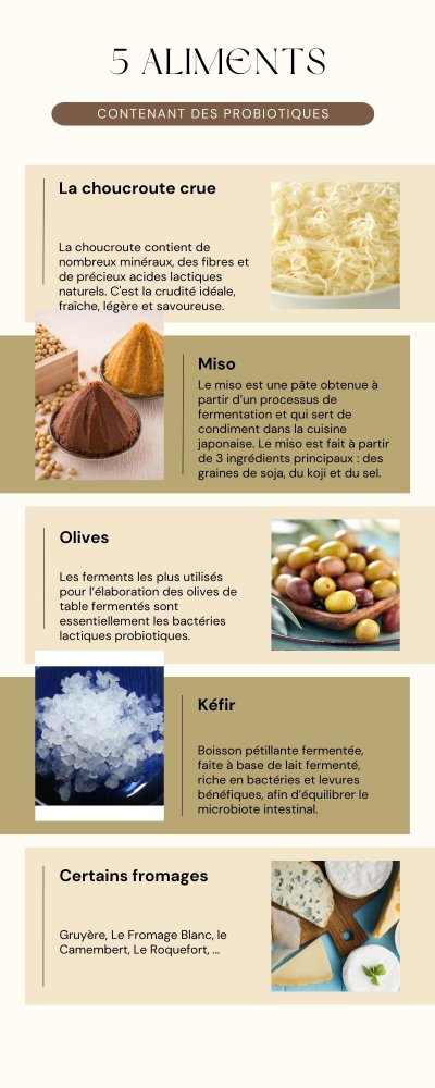 Infographie des 5 aliments riches en probiotiques pour l’hiver selon la naturopathie — kombucha, choucroute, kimchi, fromages crus, vinaigre de cidre